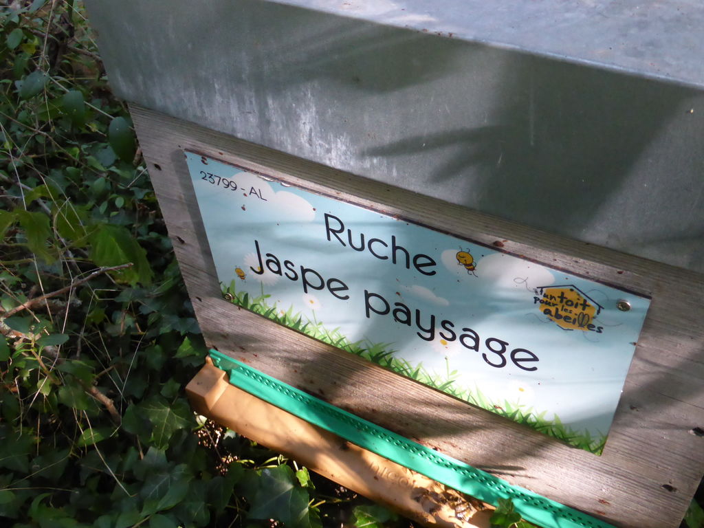 La ruche Jaspe paysage