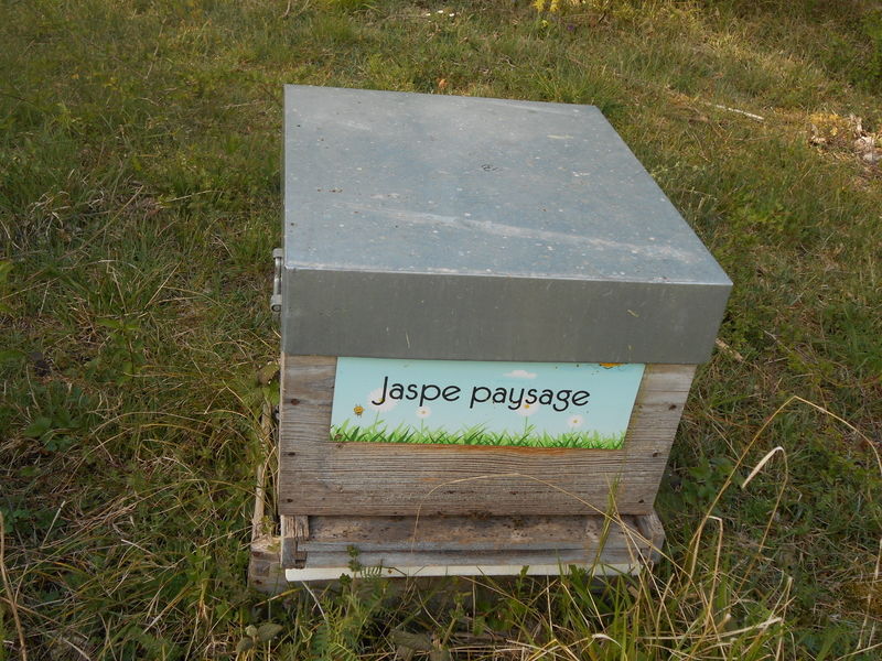 La ruche Jaspe paysage