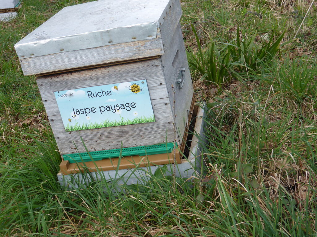 La ruche Jaspe paysage