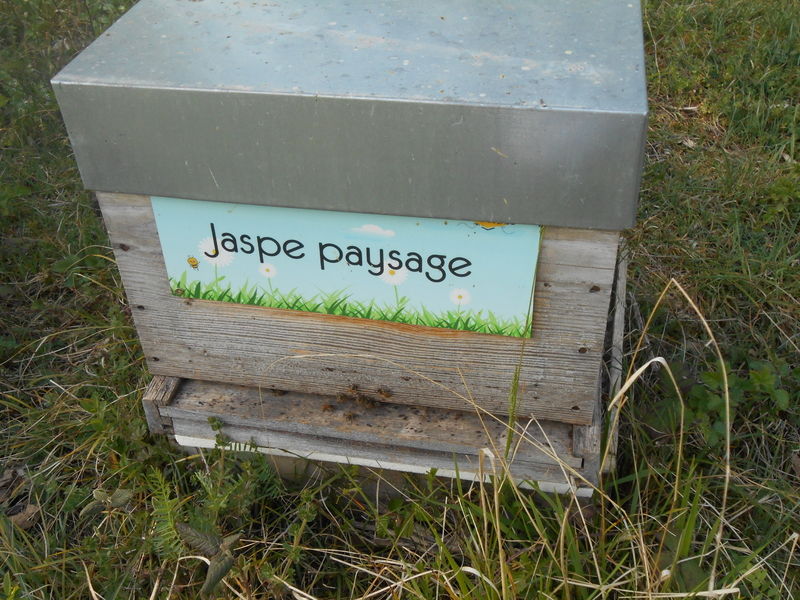La ruche Jaspe paysage