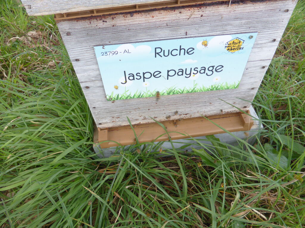 La ruche Jaspe paysage