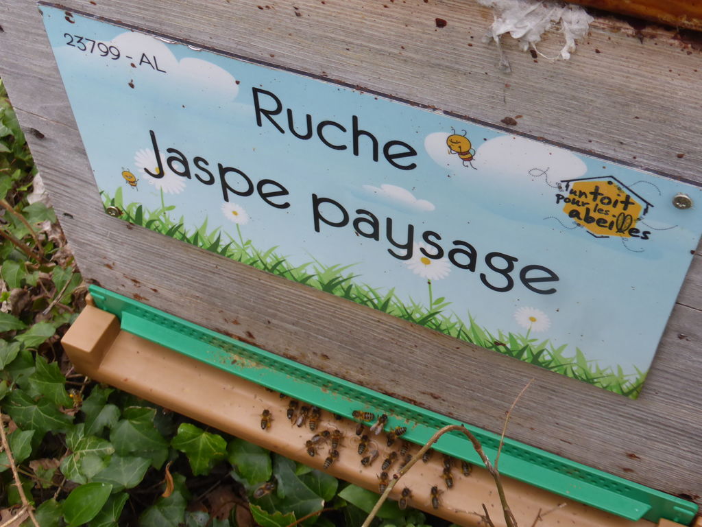 La ruche Jaspe paysage