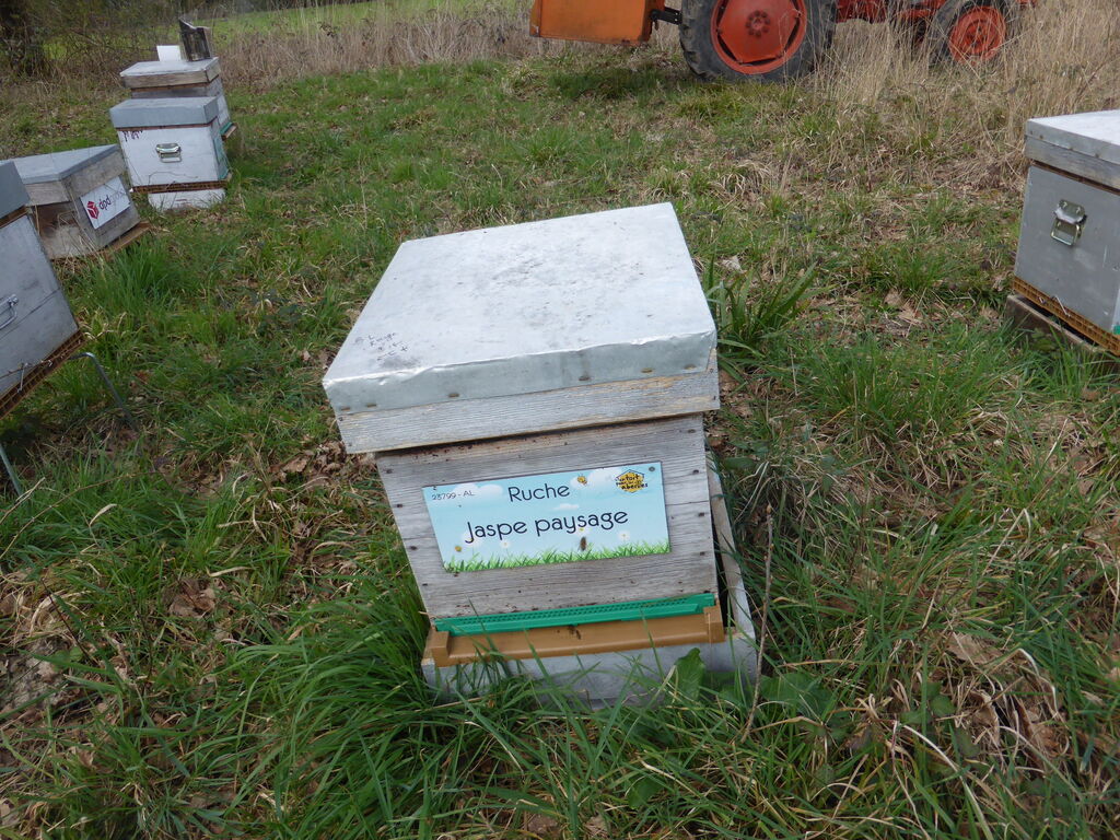 La ruche Jaspe paysage