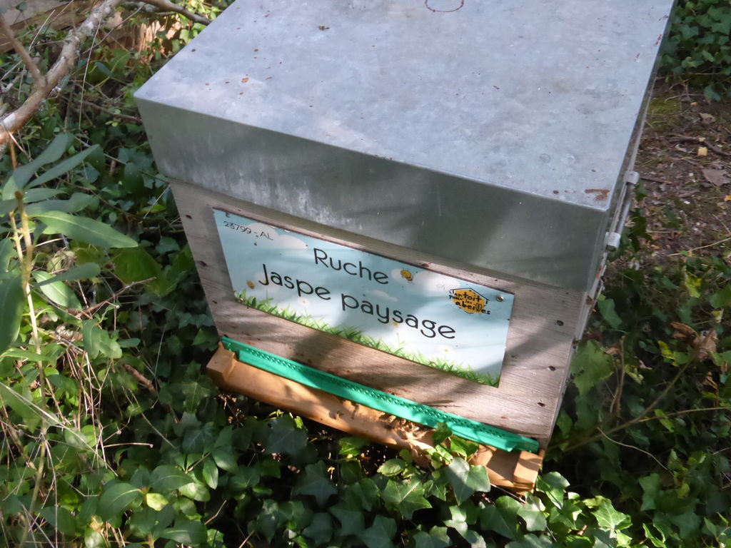 La ruche Jaspe paysage