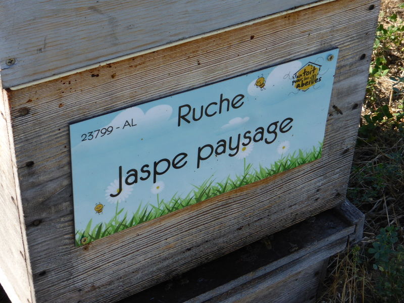 La ruche Jaspe paysage