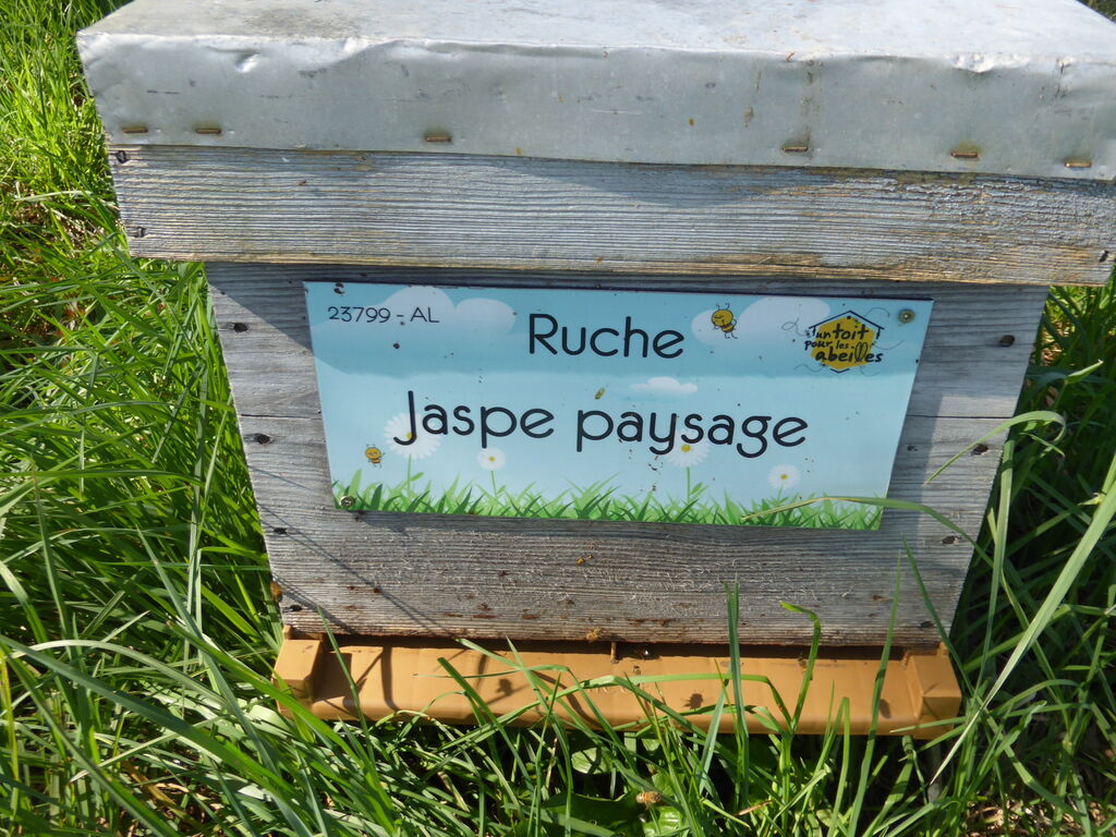 La ruche Jaspe paysage