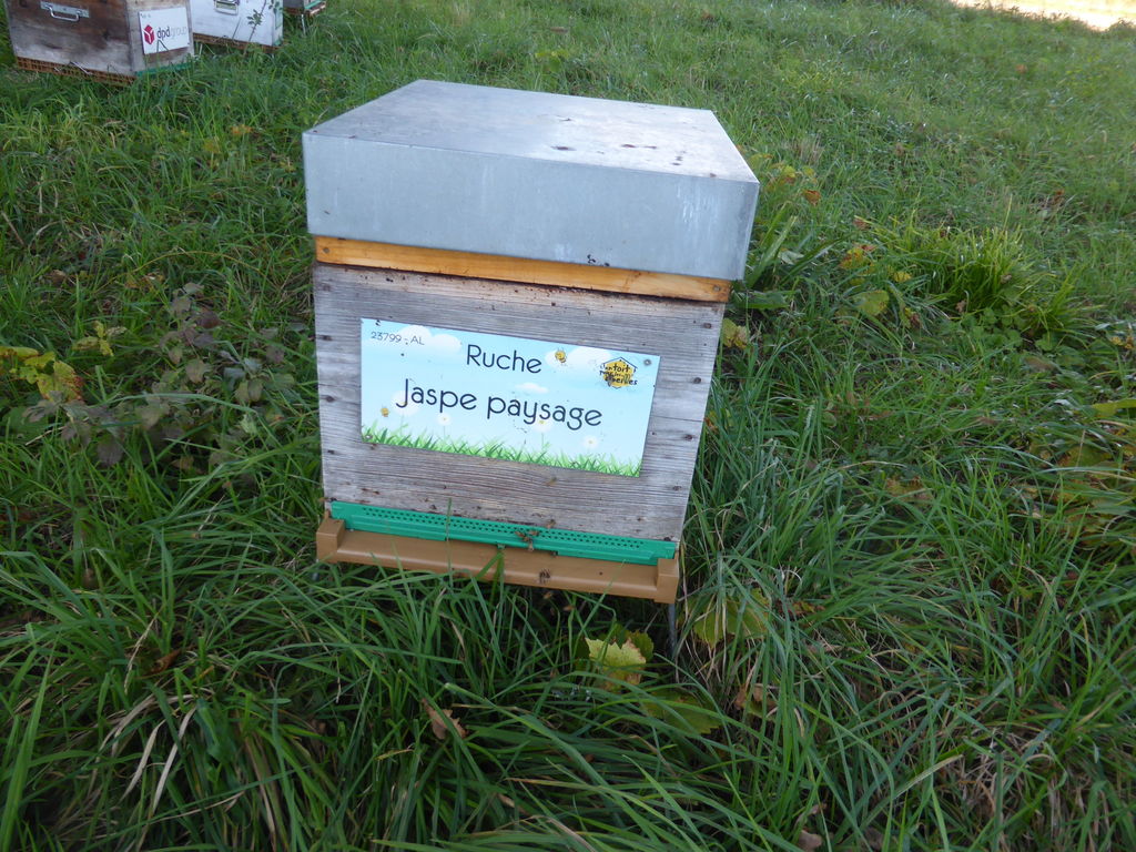 La ruche Jaspe paysage