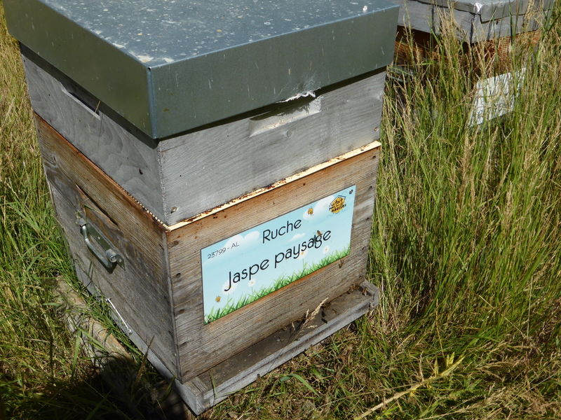 La ruche Jaspe paysage