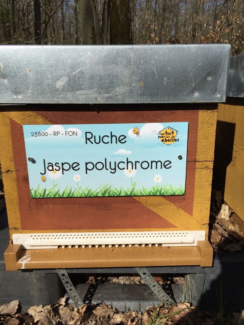 La ruche