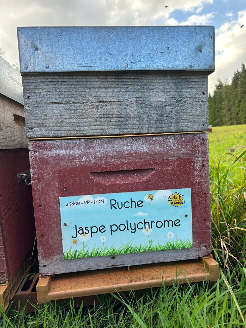La ruche Jaspe polychrome