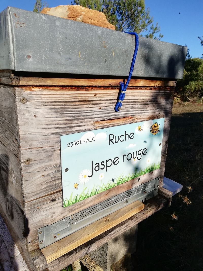 La ruche Jaspe rouge