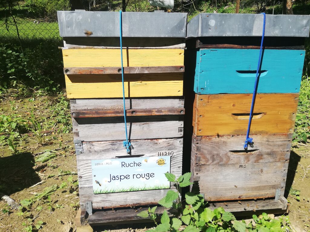 La ruche Jaspe rouge