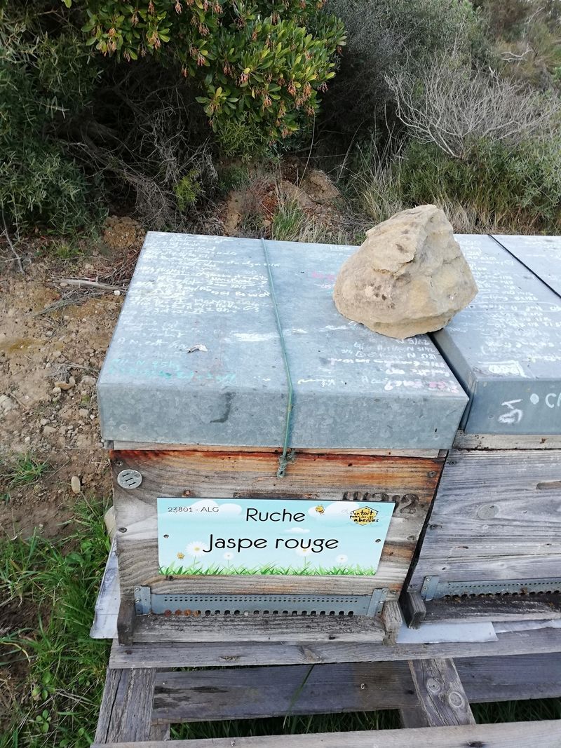 La ruche Jaspe rouge