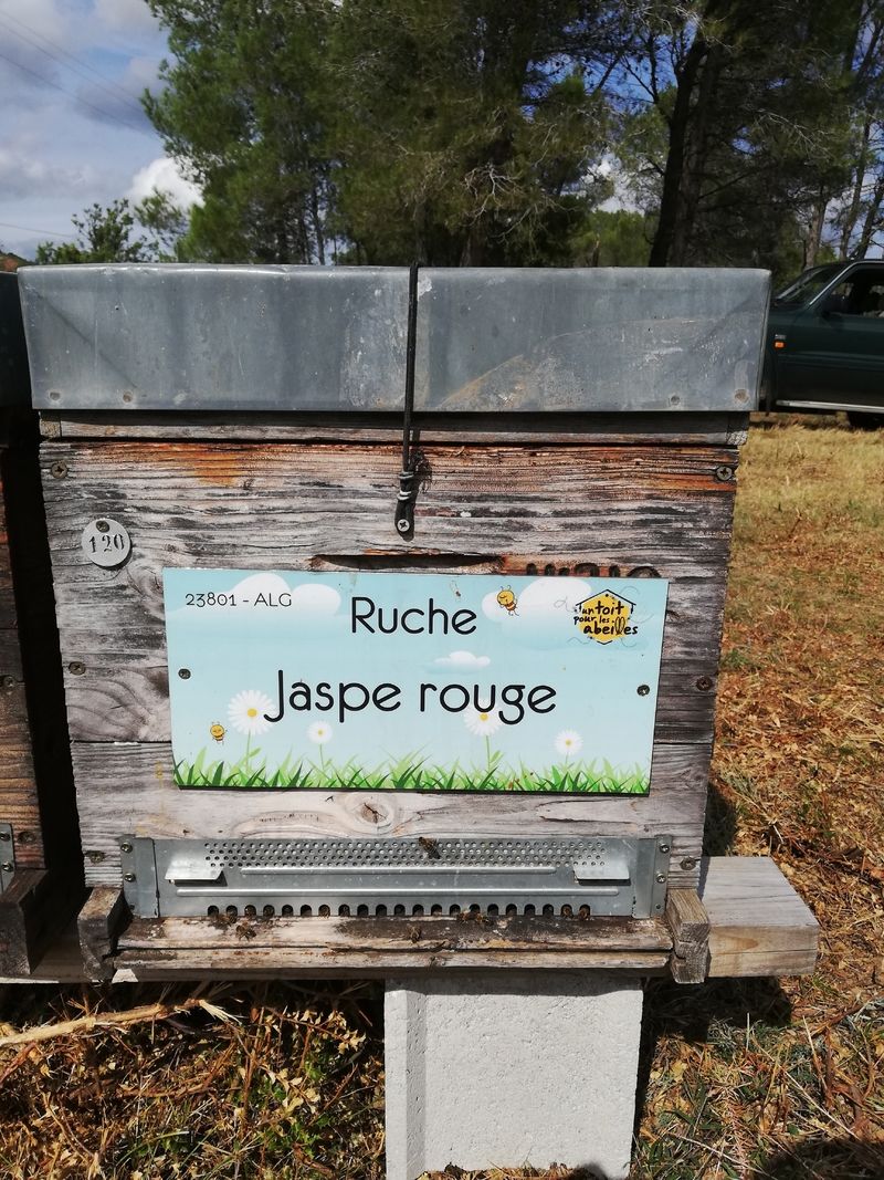 La ruche Jaspe rouge