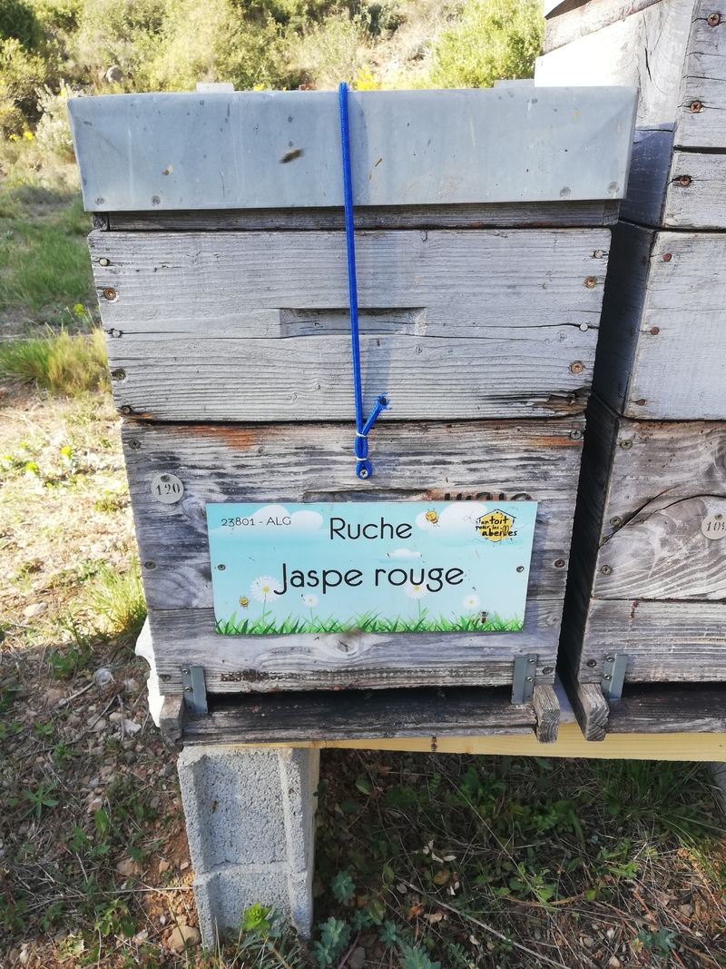 La ruche Jaspe rouge