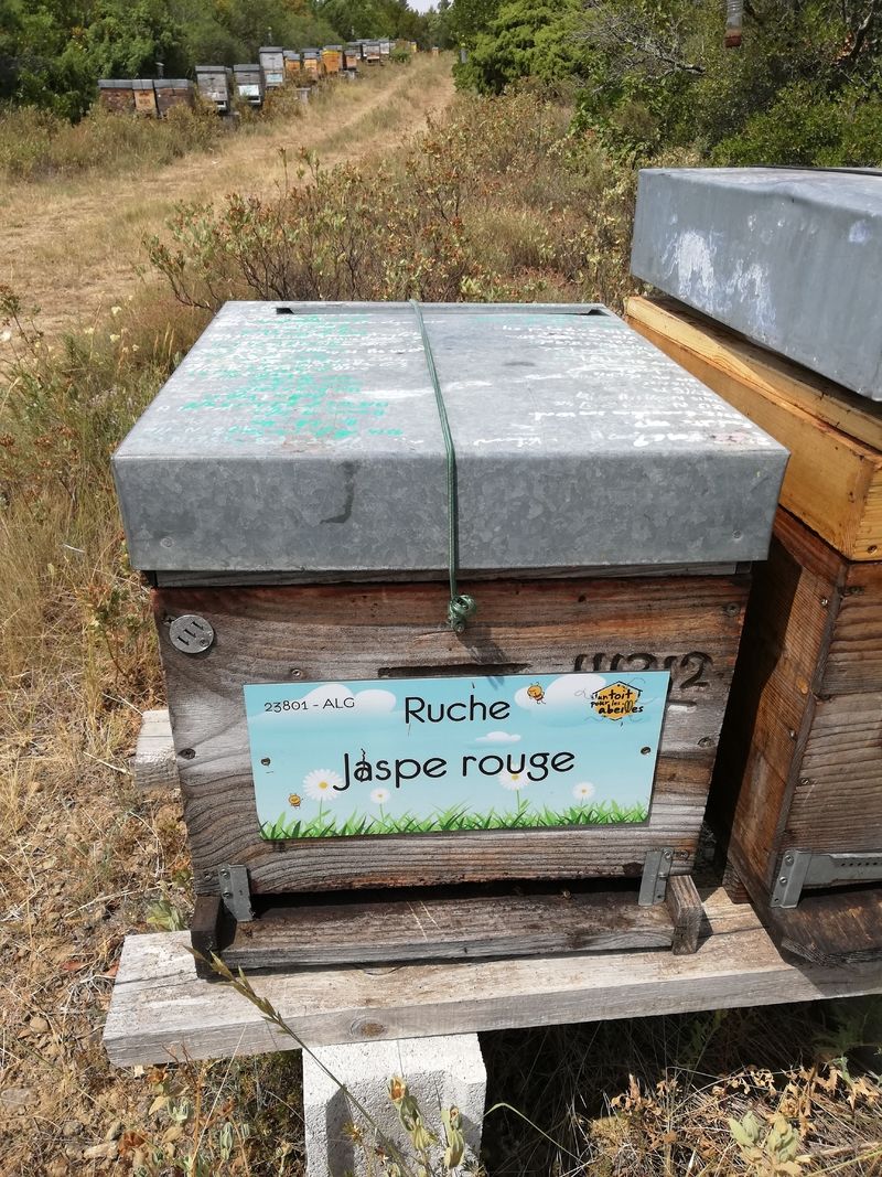 La ruche Jaspe rouge