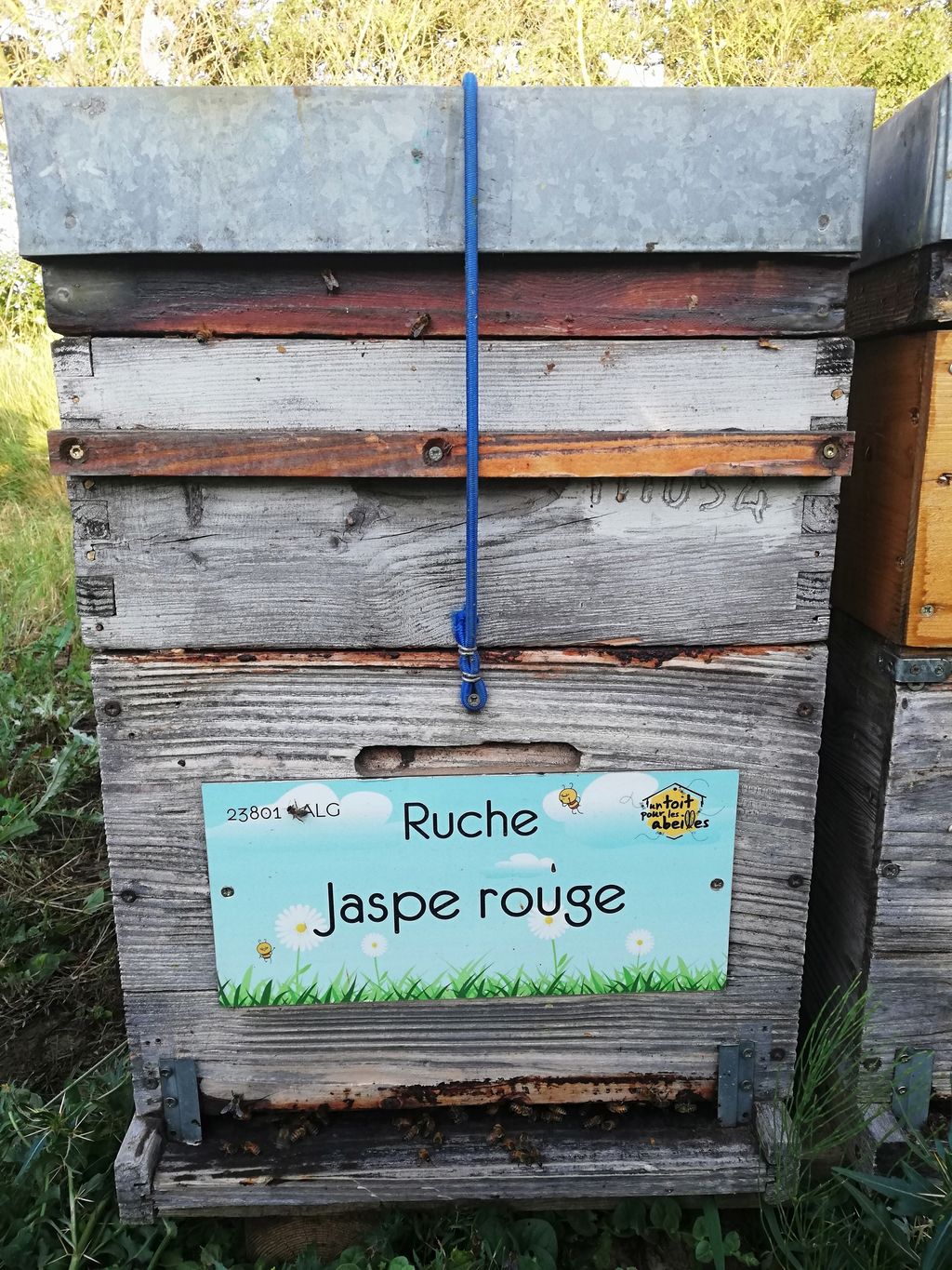 La ruche Jaspe rouge