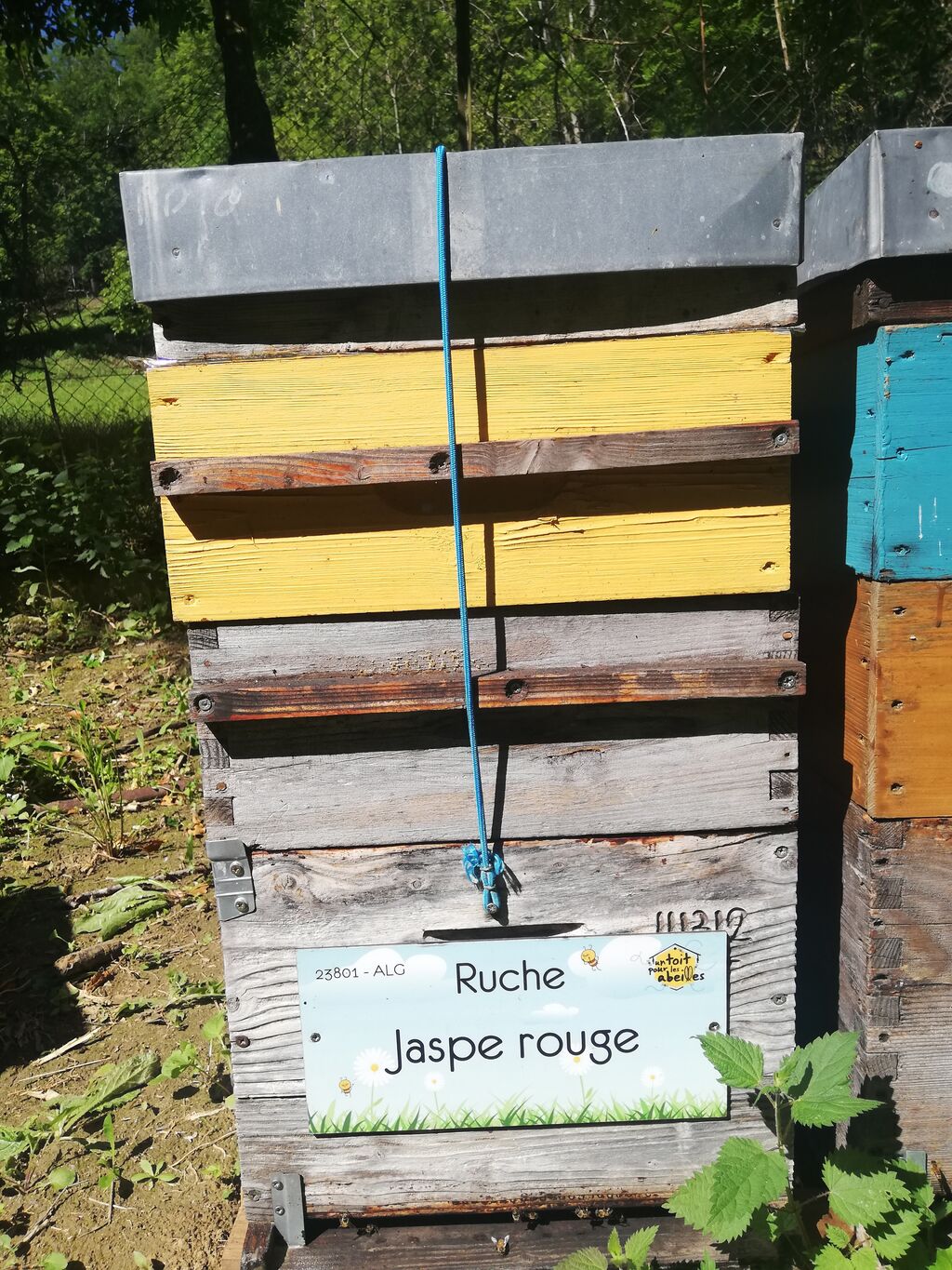 La ruche Jaspe rouge