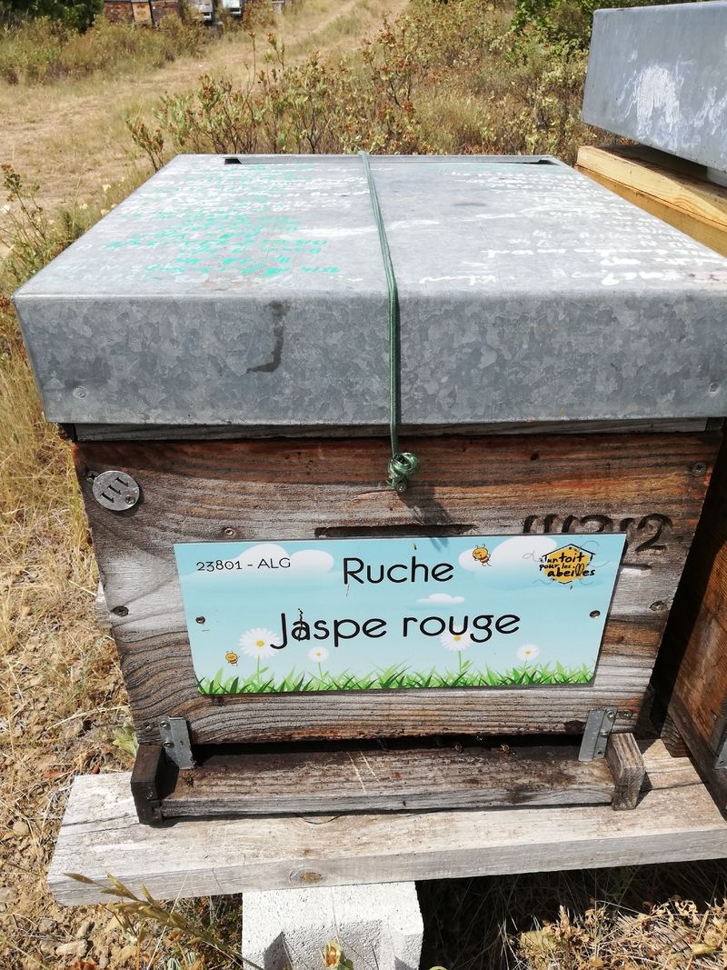 La ruche Jaspe rouge