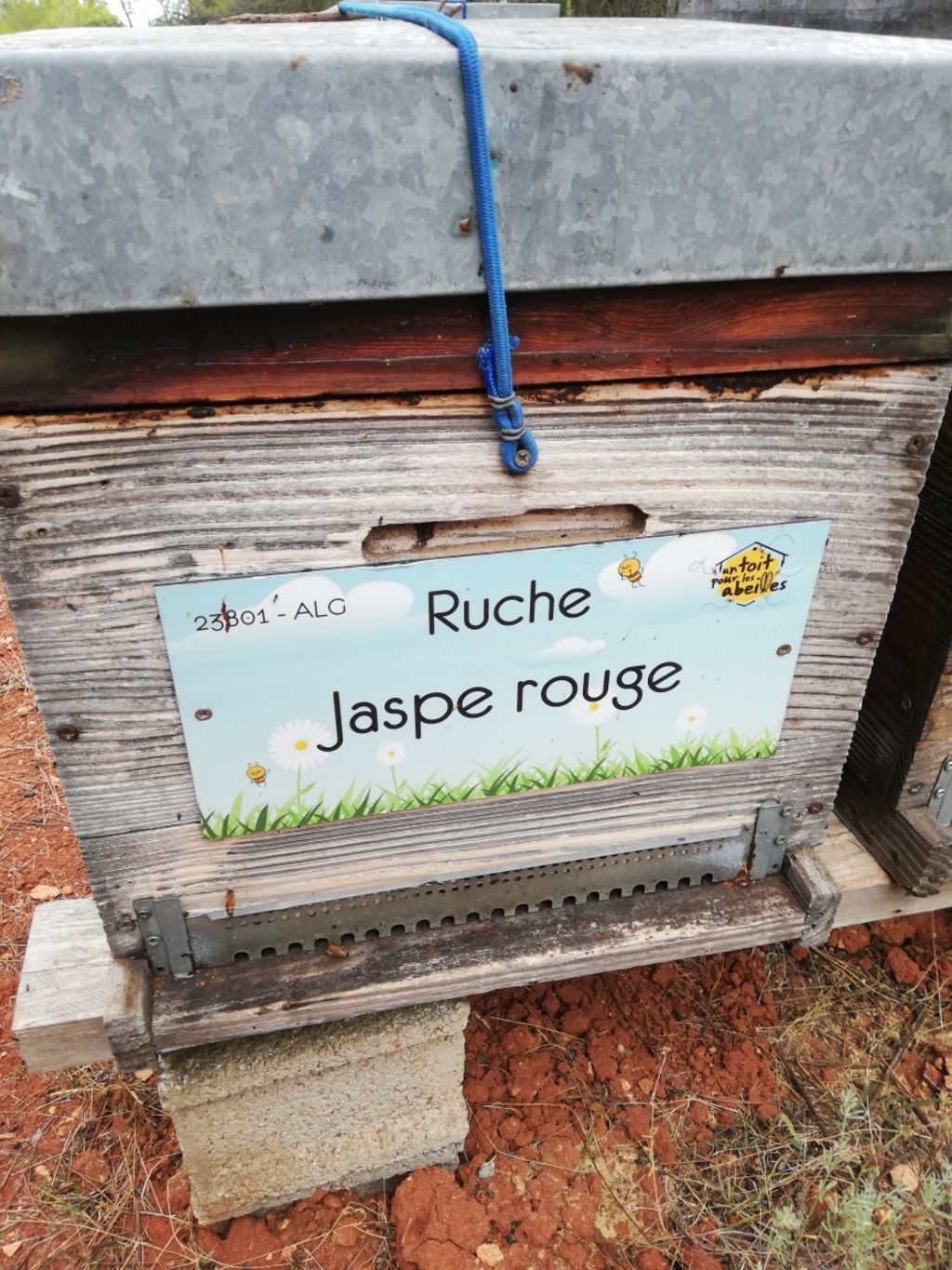 La ruche Jaspe rouge