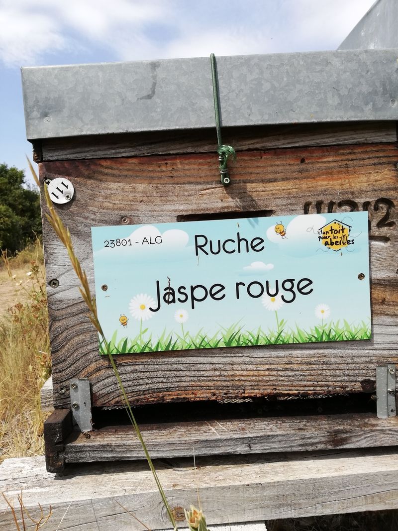 La ruche Jaspe rouge