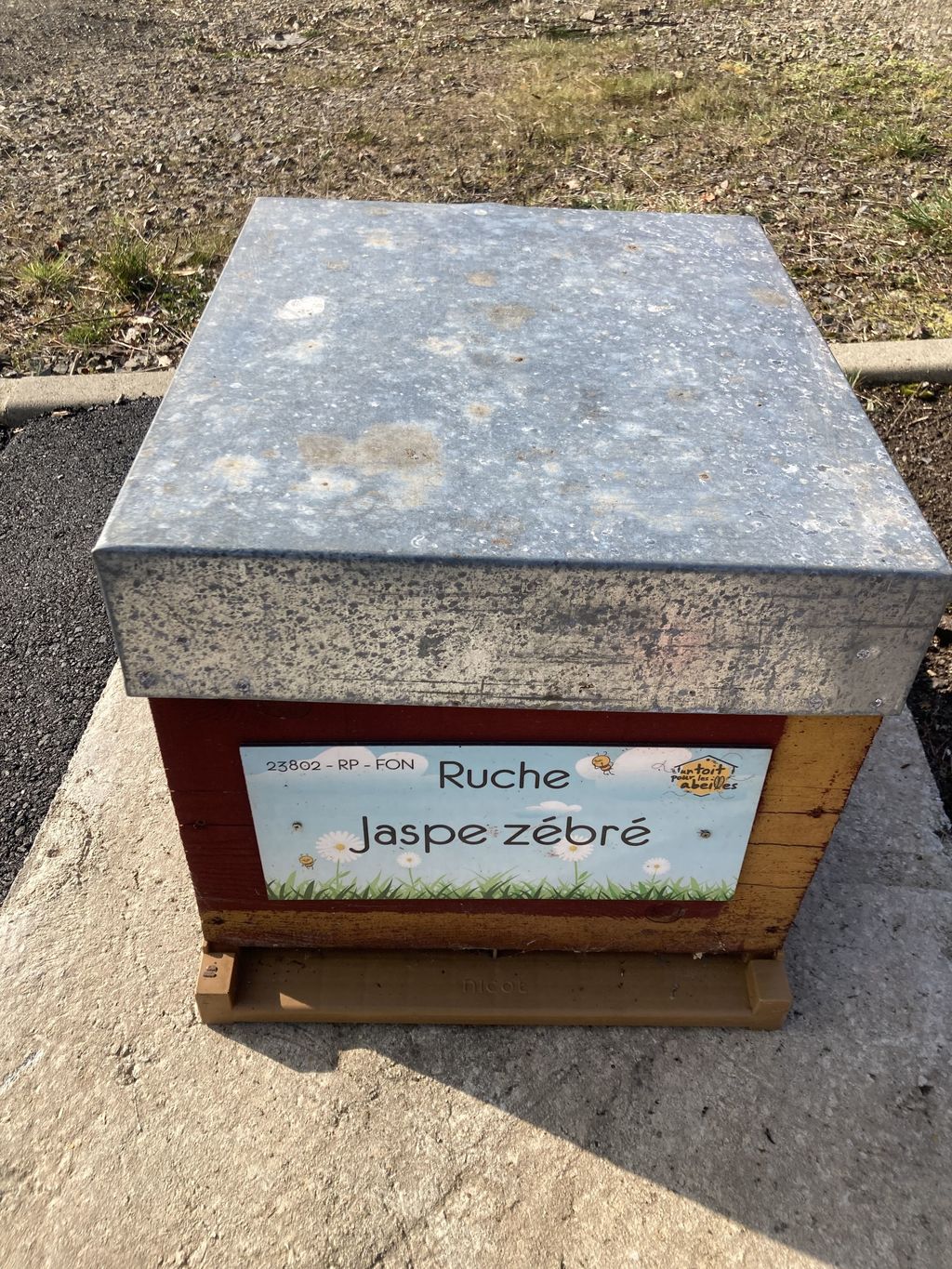 La ruche