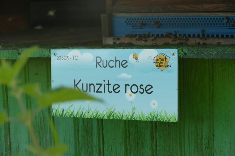 La ruche Kunzite rose