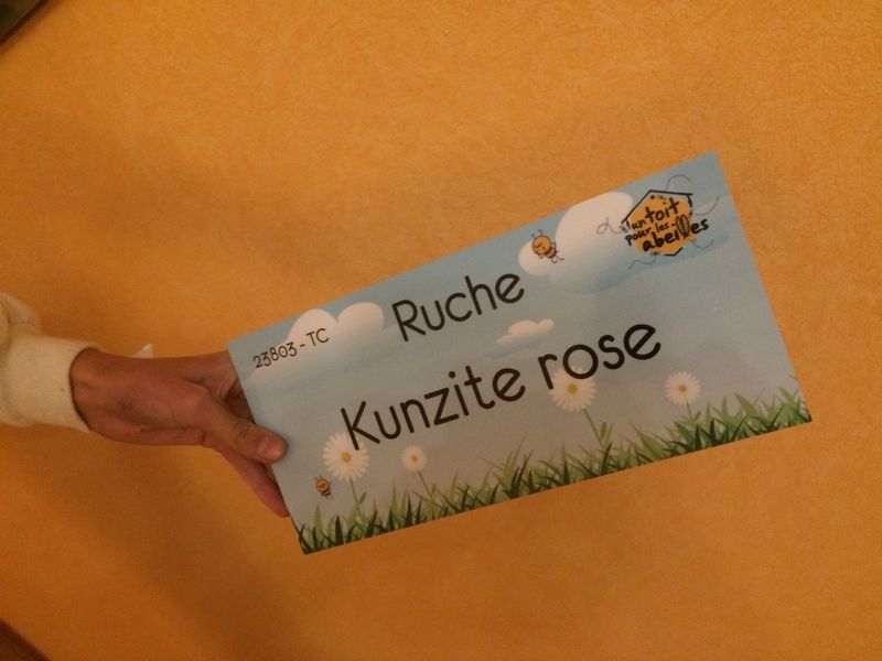 La ruche Kunzite rose