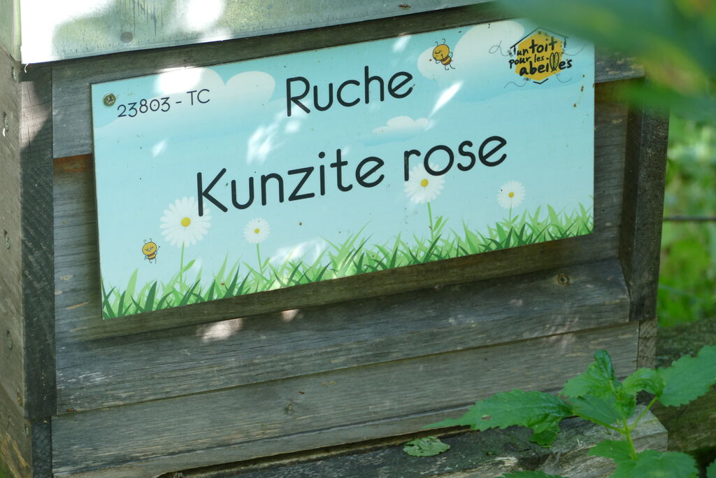 La ruche Kunzite rose
