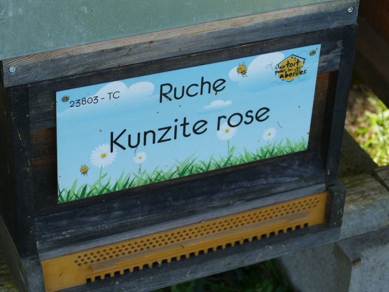 La ruche Kunzite rose