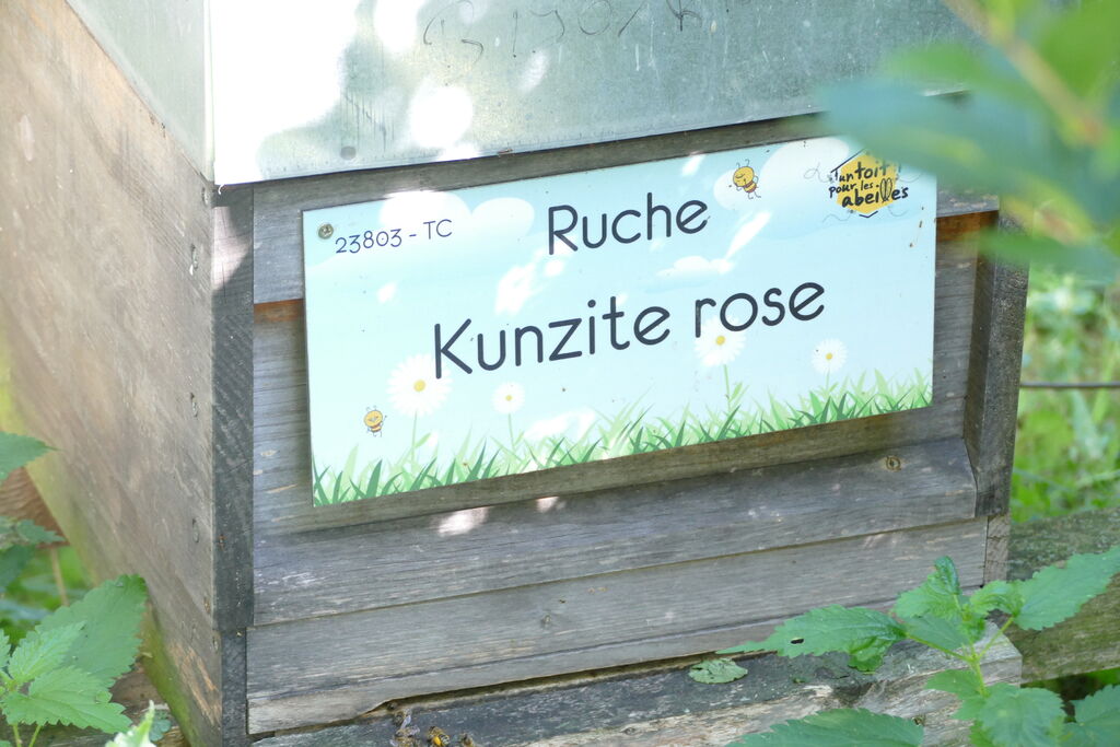 La ruche Kunzite rose