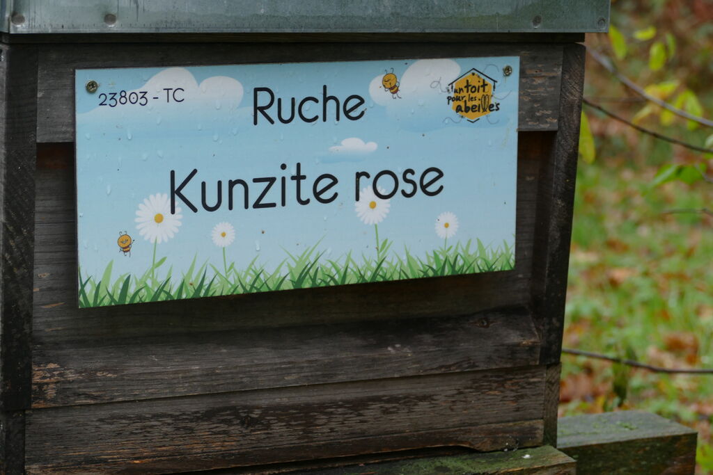 La ruche Kunzite rose