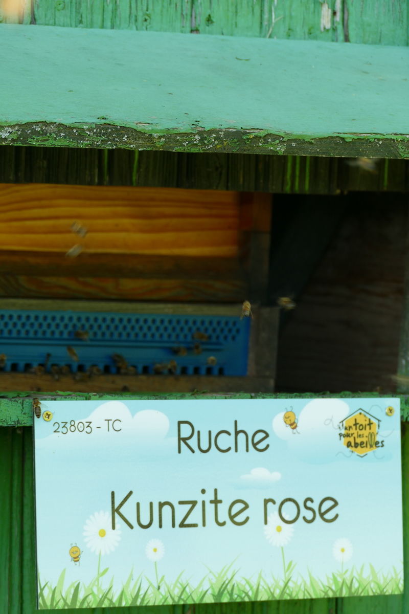La ruche Kunzite rose