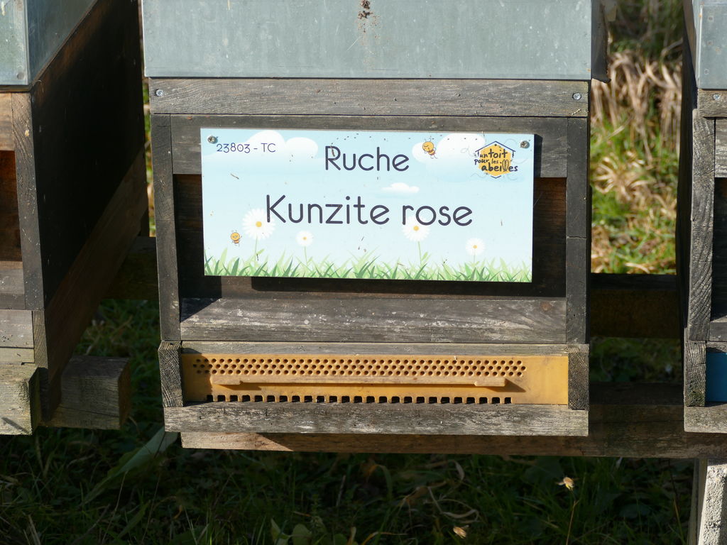 La ruche Kunzite rose