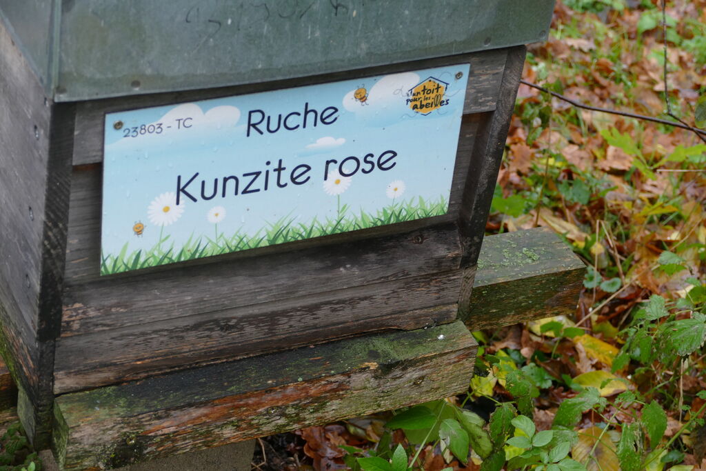 La ruche Kunzite rose