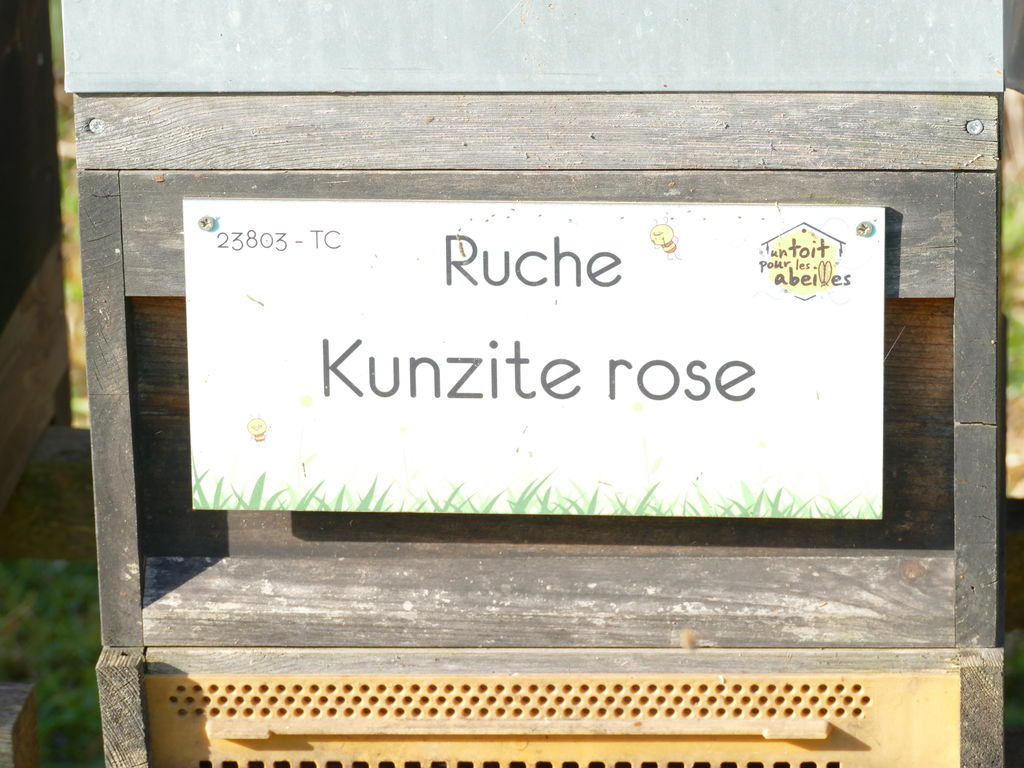 La ruche Kunzite rose