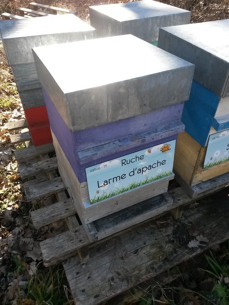 La ruche Larme d
