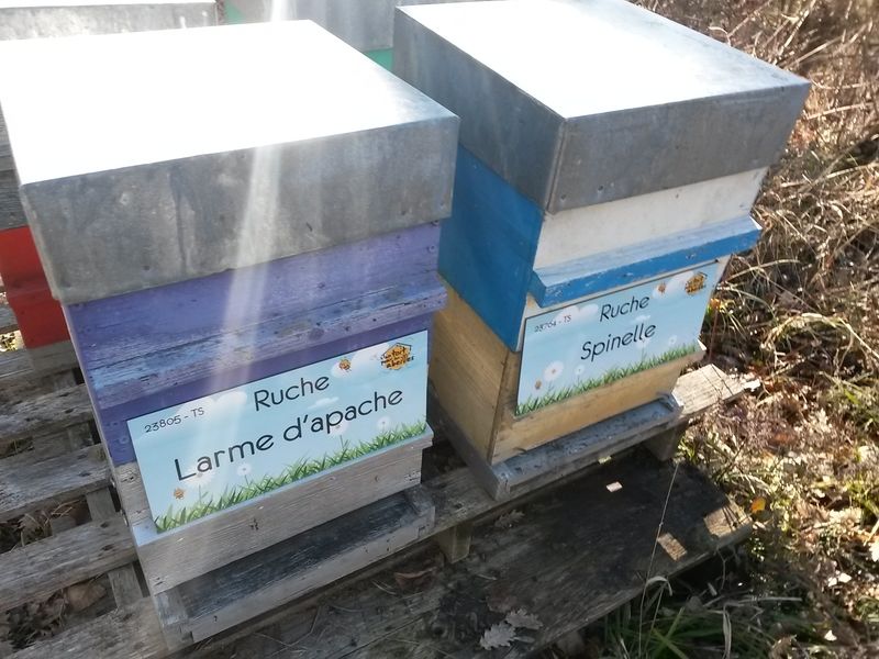 La ruche Larme d