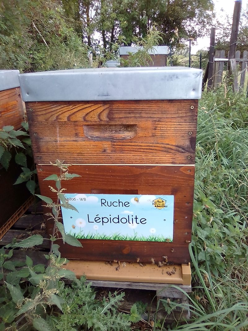 La ruche Lépidolite