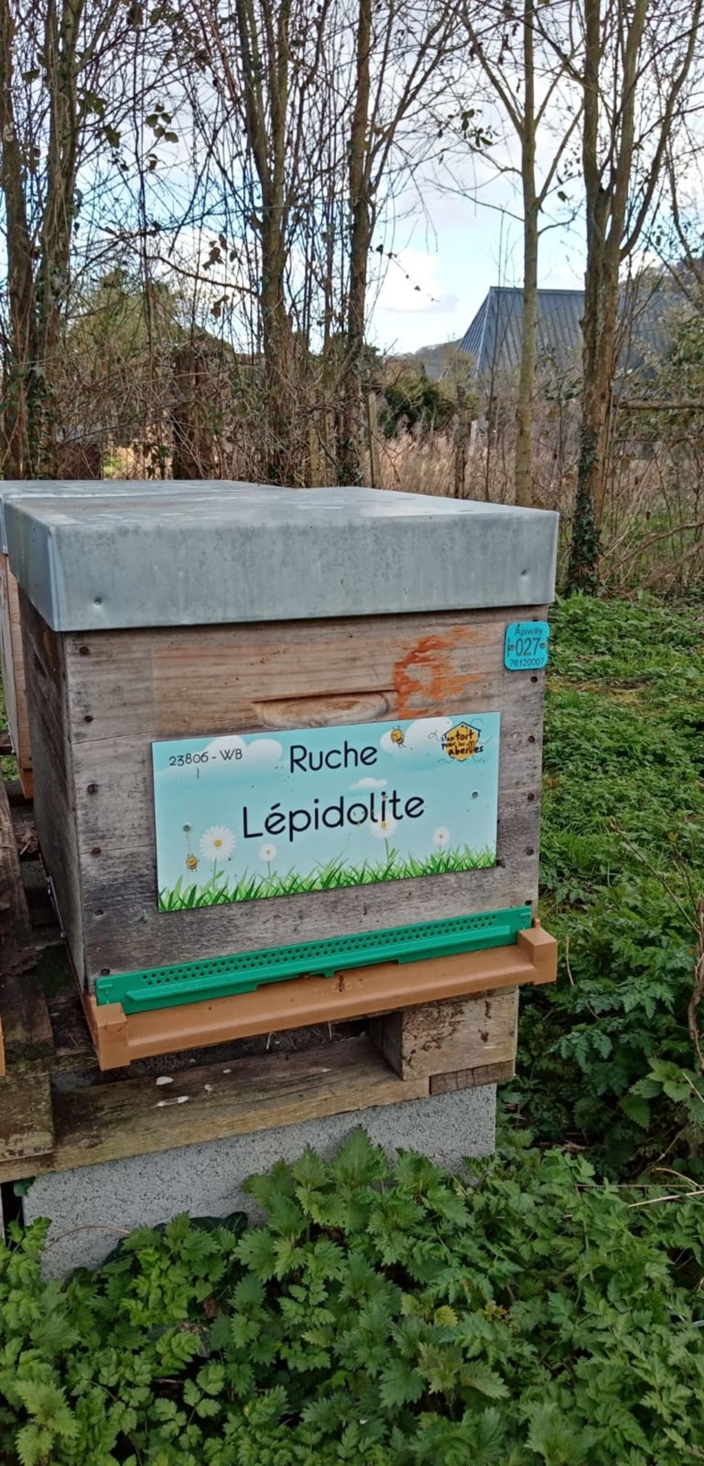 La ruche