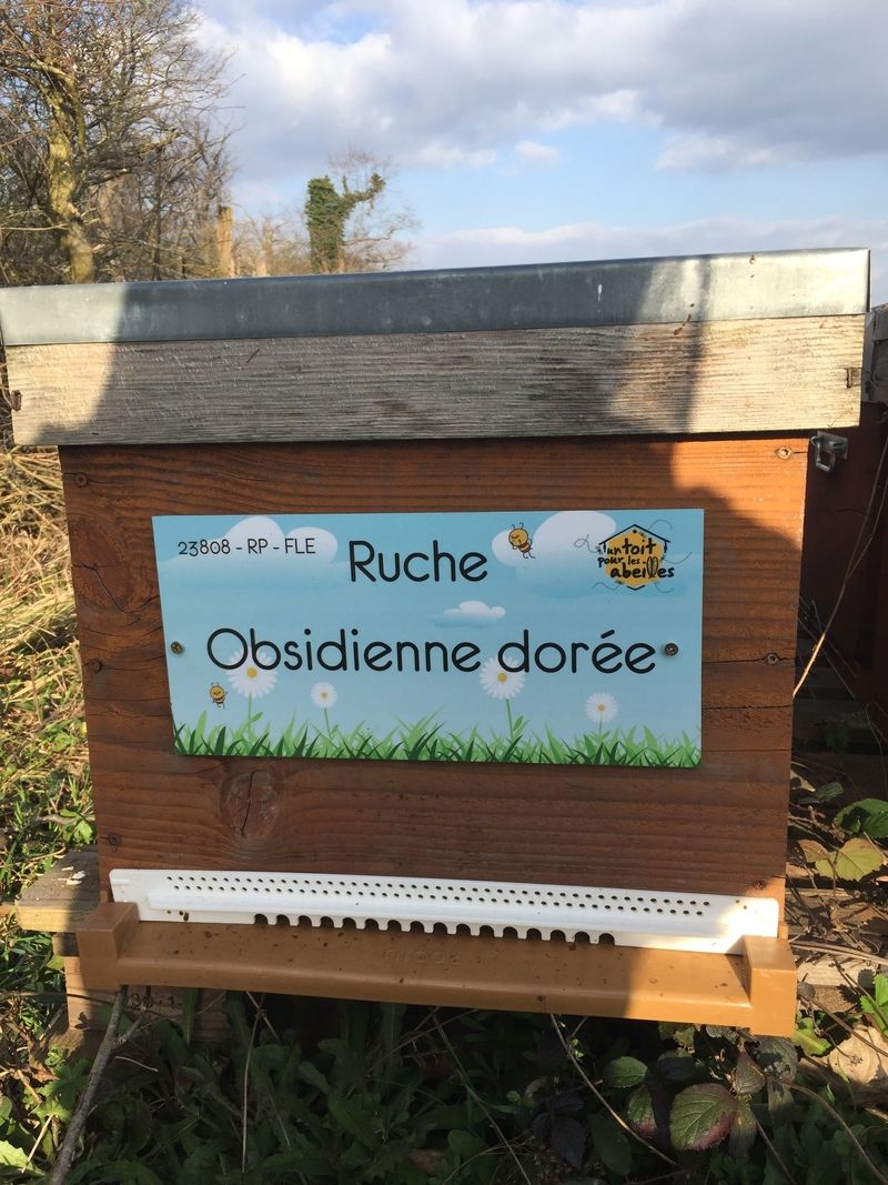 La ruche