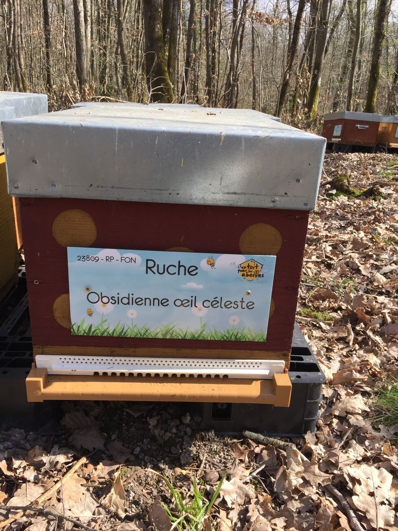 La ruche