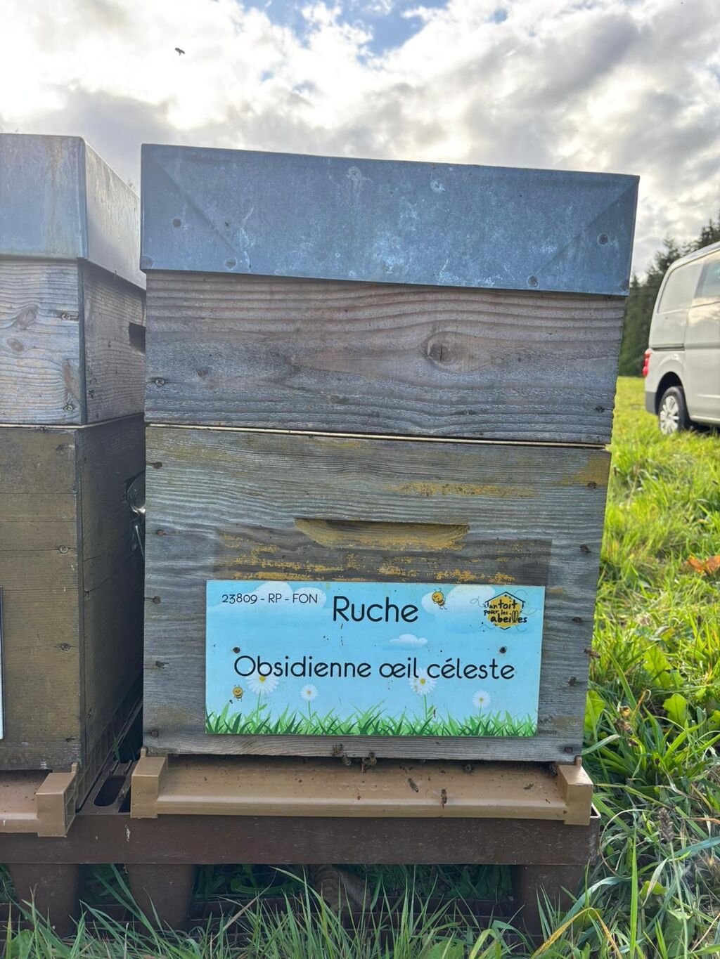 La ruche Obsidienne œil céleste