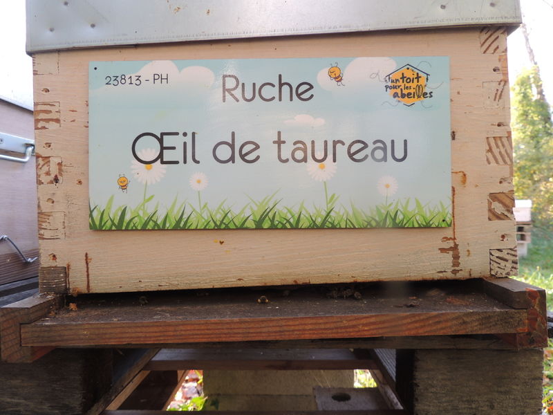 La ruche