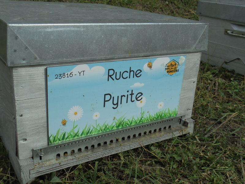La ruche