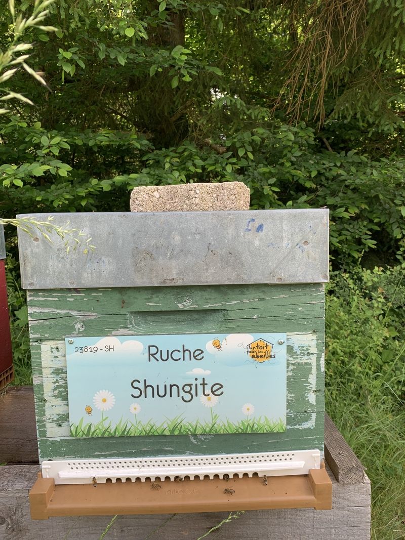 La ruche Shungite