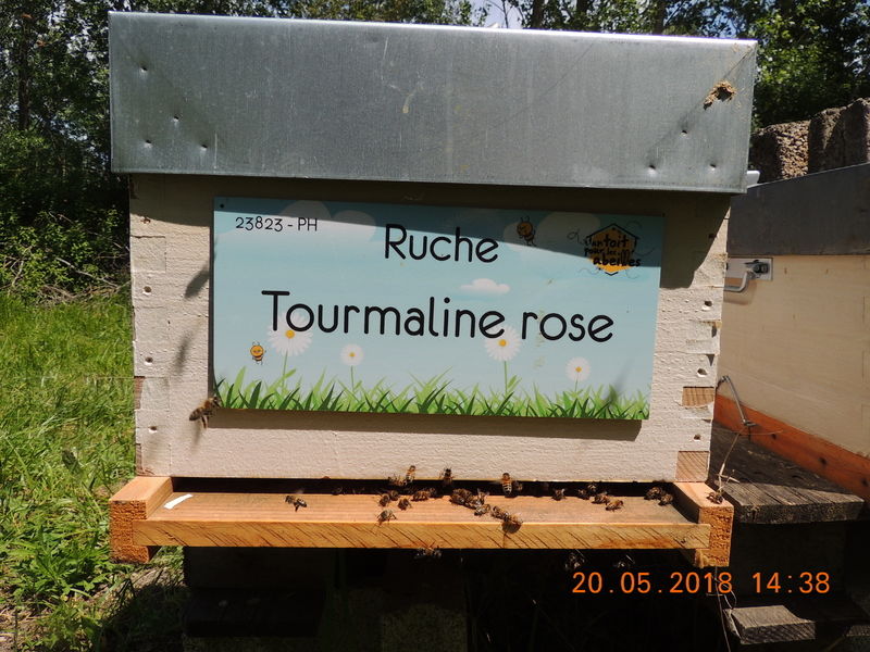 La ruche Tourmaline rose