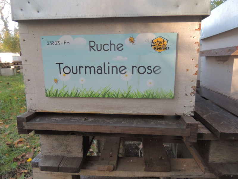 La ruche