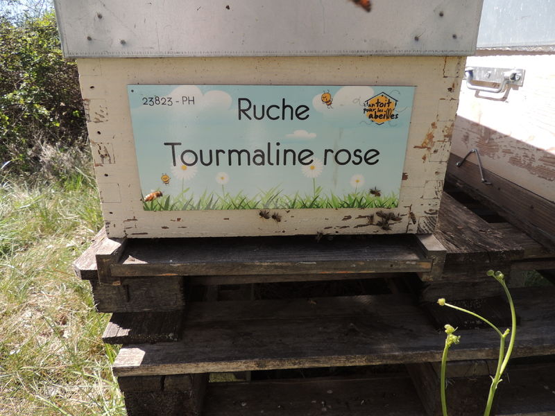La ruche Tourmaline rose