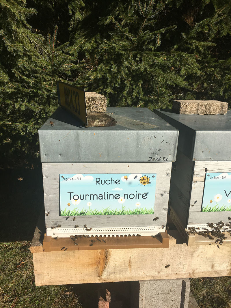 La ruche Tourmaline noire